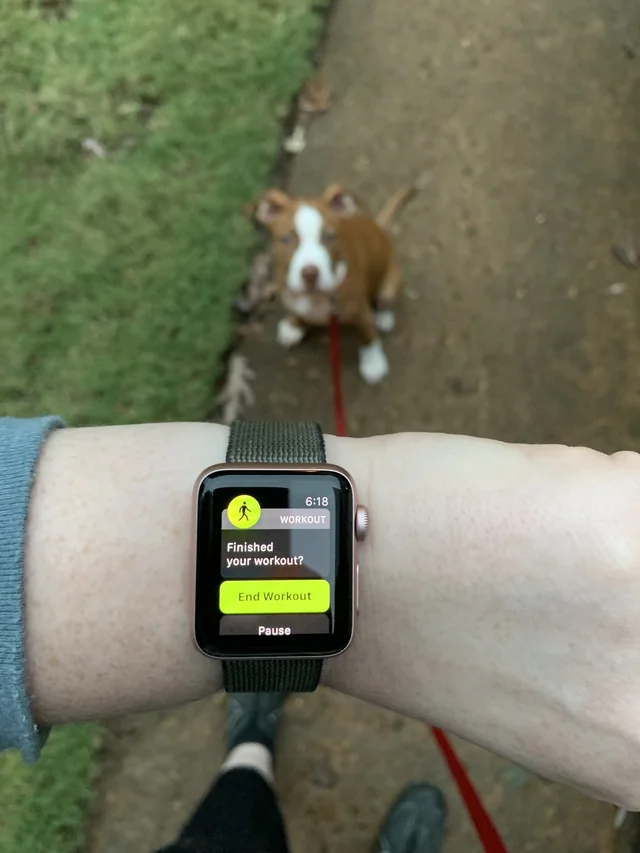 social-friction-dog-watch
